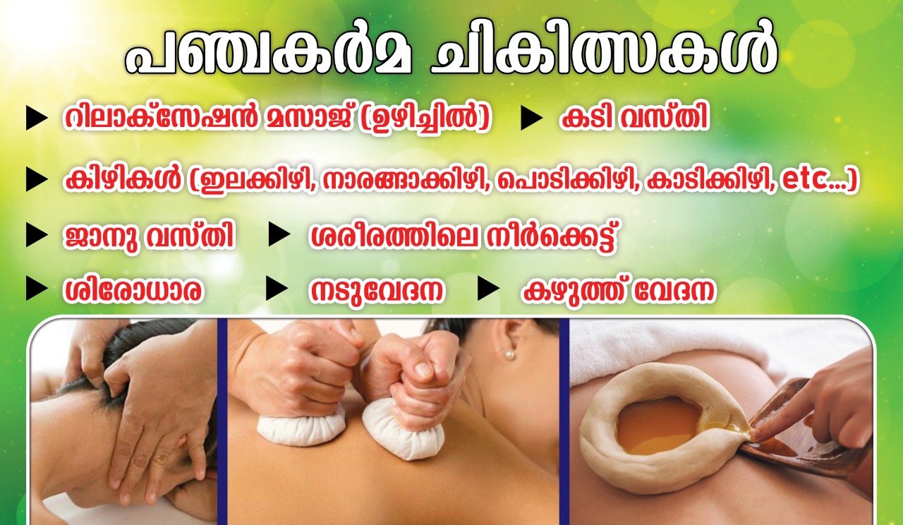 AYUR WELLNESS MANJERI