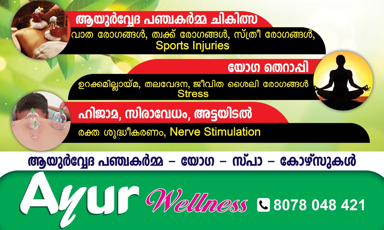 AYUR WELLNESS MANJERI