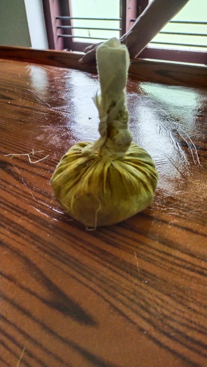 AYUR WELLNESS MANJERI